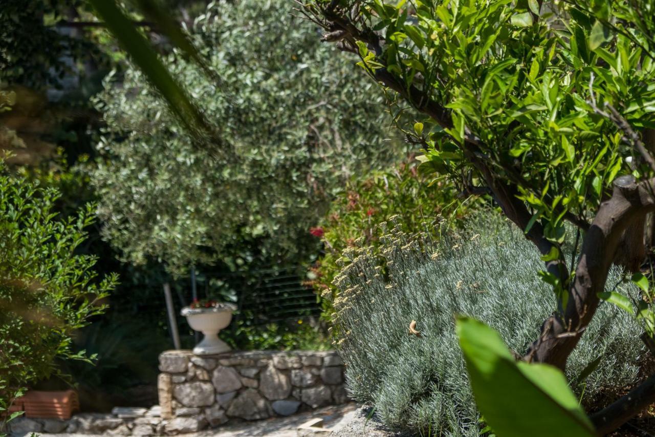 Apartmani Glavan Mali Lošinj Extérieur photo